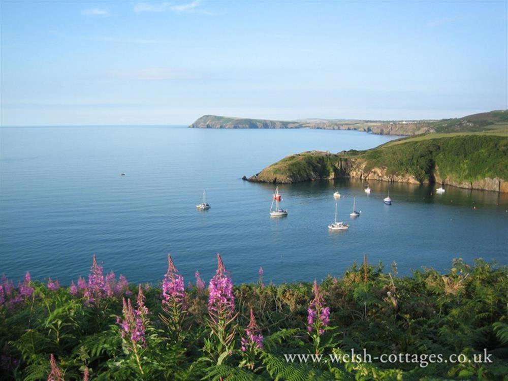 Cwmbrandy Cottage Fishguard Exterior foto
